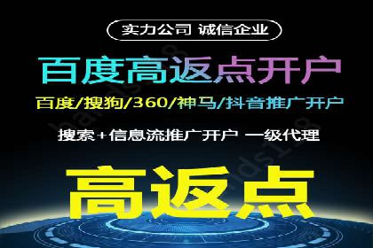 竞价排名优化策略案例分析